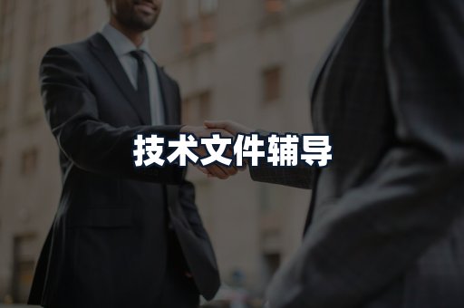 技术文件辅导